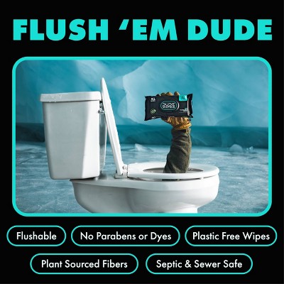 DUDE Wipes Mint Chill Flushable Wipes Infused with Tea Tree Oil - 144ct