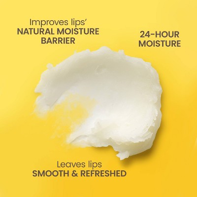 Burt's Bees Moisturizing Lip Balm - Sweet Mandarin - 0.15oz
