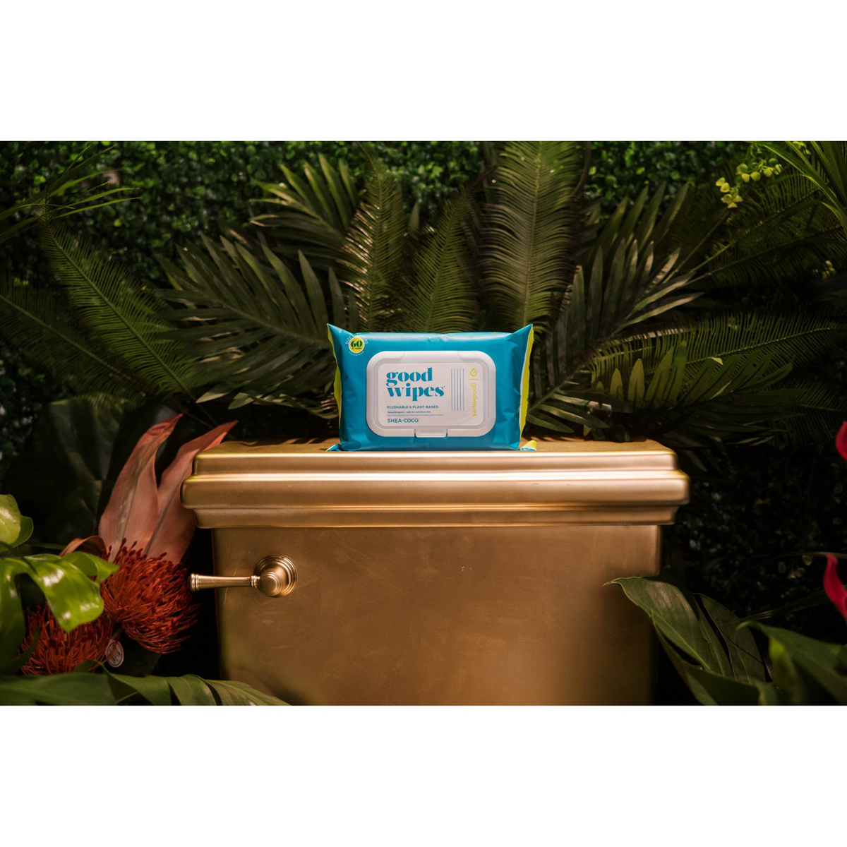 Goodwipes Shea Coco Flushable Wipes - 2pk/60ct