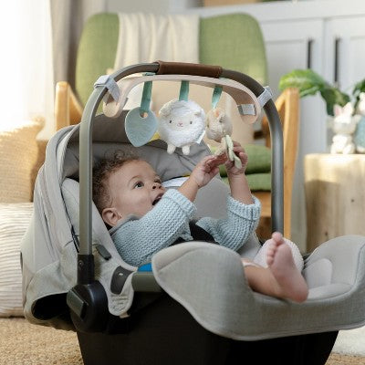 Ingenuity Carrier Toy Bar