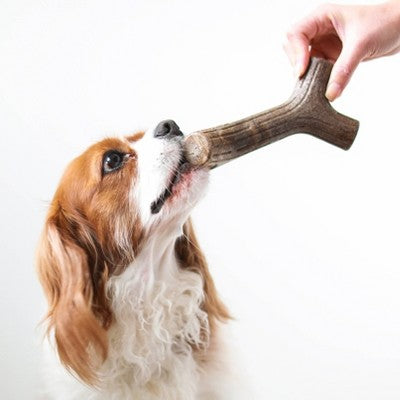 Benebone Maplestick Dog Chew Toy - Maple Wood - M