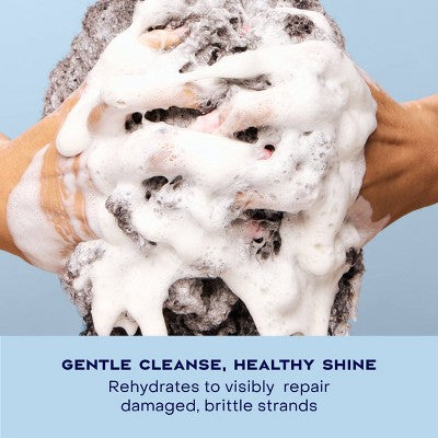 SheaMoisture Manuka Honey & Yogurt Hydrate & Repair Shampoo - 13 fl oz