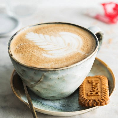 Biscoff Classic Cookies - 8.8oz