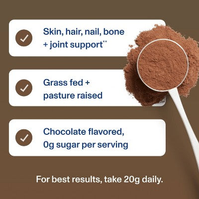 Vital Proteins Chocolate Collagen Peptides Dietary Supplement - 13.5oz