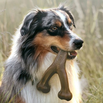 Benebone Wishbone Dog Chew Toy - Bacon - M