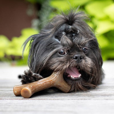 Benebone Maplestick Dog Chew Toy - Maple Wood
