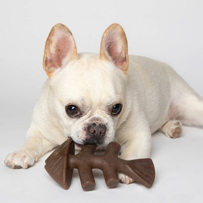 Benebone Fish Dog Bone Chew Toy - M