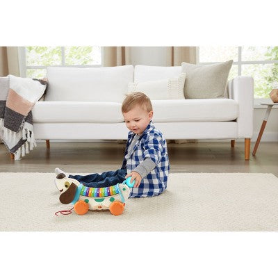 LeapFrog Wooden AlphaPup