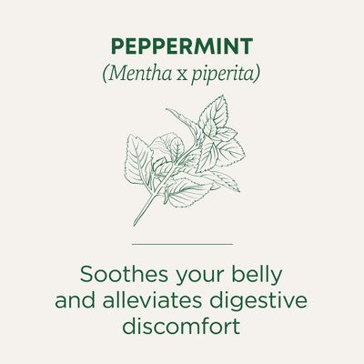 Traditional Medicinals Organic Peppermint Herbal Tea - 16ct: Non-Caffeinated, Gluten-Free