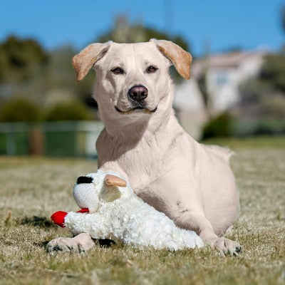 Multipet 10.5" Lamb Chop Interactive Plush Dog Toy