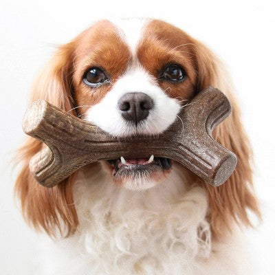 Benebone Maplestick Dog Chew Toy - Maple Wood