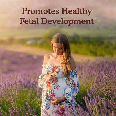 Garden of Life Organic Vegan Prenatal Daily Multivitamin Tablets - 30ct