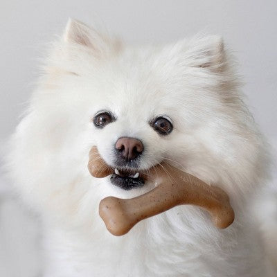 Benebone Wishbone Dog Chew Toy - Bacon - S
