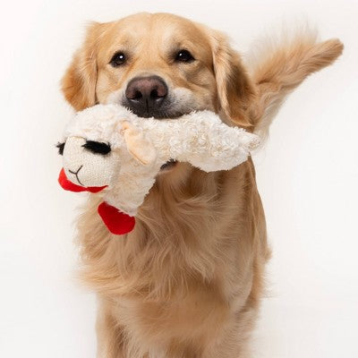 Multipet 10.5" Lamb Chop Interactive Plush Dog Toy
