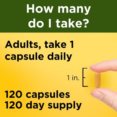 Nature Made Turmeric Curcumin 500 mg, Turmeric Capsules for Antioxidant Support, USP Verified - 120ct