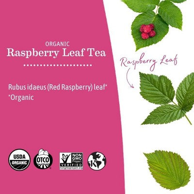Earth Mama Organic Raspberry Leaf for Labor Prep and Menstrual Support Herbal Bagged Teas - 16ct