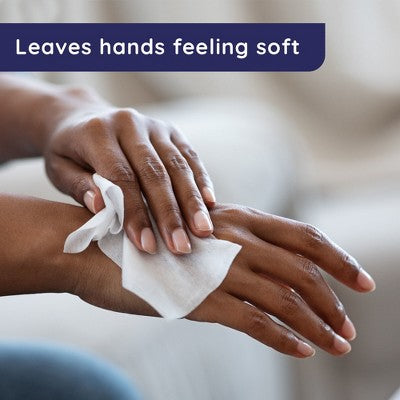 Wet Ones Sensitive Skin Hand Wipes Canister - Unscented - 40ct