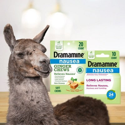 Dramamine-N Long Lasting Nausea Relief Tablets for Nausea, Dizziness & Vomiting - 10ct