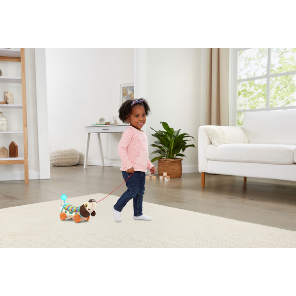 LeapFrog Wooden AlphaPup