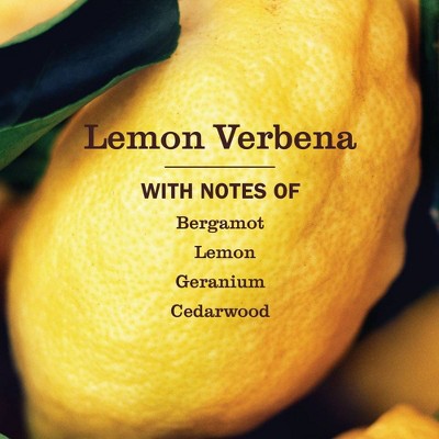 Mrs. Meyer's Clean Day Lemon Verbena Liquid Dish Soap - 16 fl oz