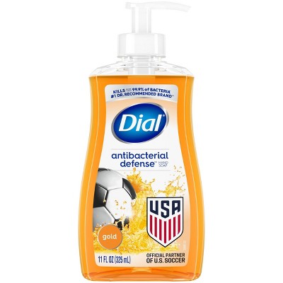 Dial Antibacterial Liquid Hand Soap Pump - 11 fl oz