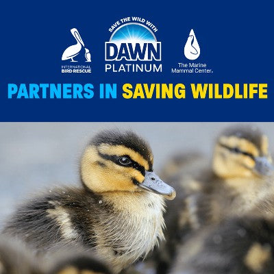 Dawn Fresh Rain Platinum Dish Soaps - 24 fl oz: Liquid Cleaner, Removes Grease, Multi-Surface Use