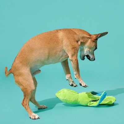 BARK Billy The Squid Dog Toy - Green