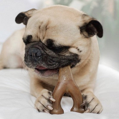 Benebone Wishbone Dog Chew Toy - Bacon