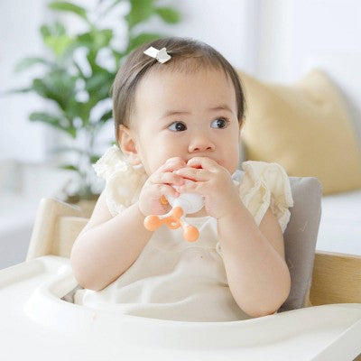 Quark Fruuti Revolutionary Silicone Baby Fruit Feeder