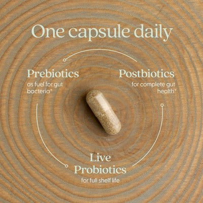 New Chapter Probiotic All-Flora for Advanced Digestion & Gut Health with Prebiotics + Postbiotics Capsules - 30ct