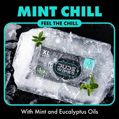 DUDE Wipes Mint Chill Flushable Wipes Infused with Tea Tree Oil - 144ct