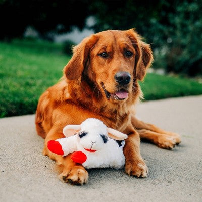 Multipet 10.5" Lamb Chop Interactive Plush Dog Toy