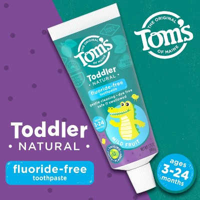 Tom's of Maine Fluoride Free Toddler Training Toothpaste - Mild Fruit - 1.75oz