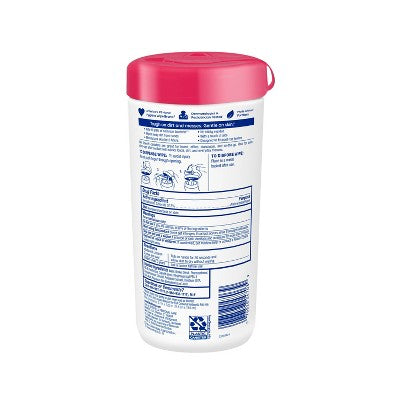 Wet Ones Antibacterial Hand Wipes Canister - Fresh Scent - 40ct