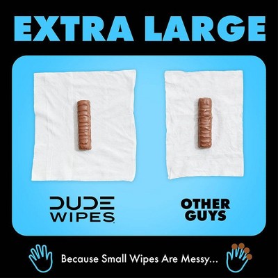 DUDE Wipes Fragrance Free Flushable Personal Wipes for Sensitive Skin - 48ct