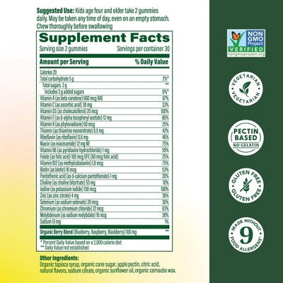 MegaFood Kids' Multivitamin, Vitamin C, Vitamin D & Choline, Vegetarian Gummies - 60ct