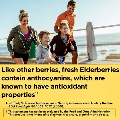 Nature Made Elderberry with Vitamin C and Zinc for Immune Support Gummies - Raspberry - 100ct