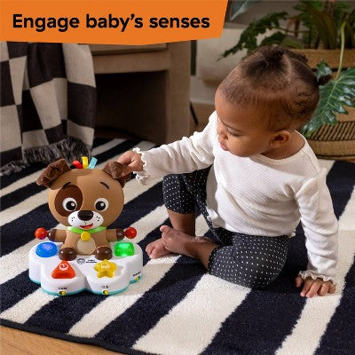 Baby Einstein Drum & Learn Dean Musical Learning Toy