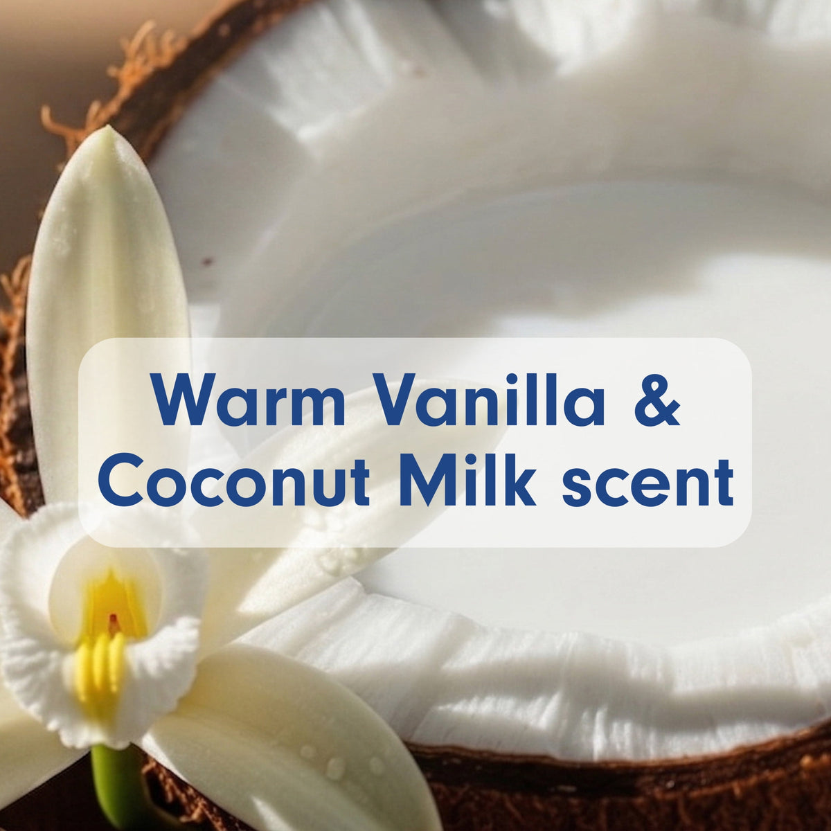 Softsoap Moisturizing Hand Soap, Warm Vanilla & Coconut Milk Scent, 11.25 fl oz