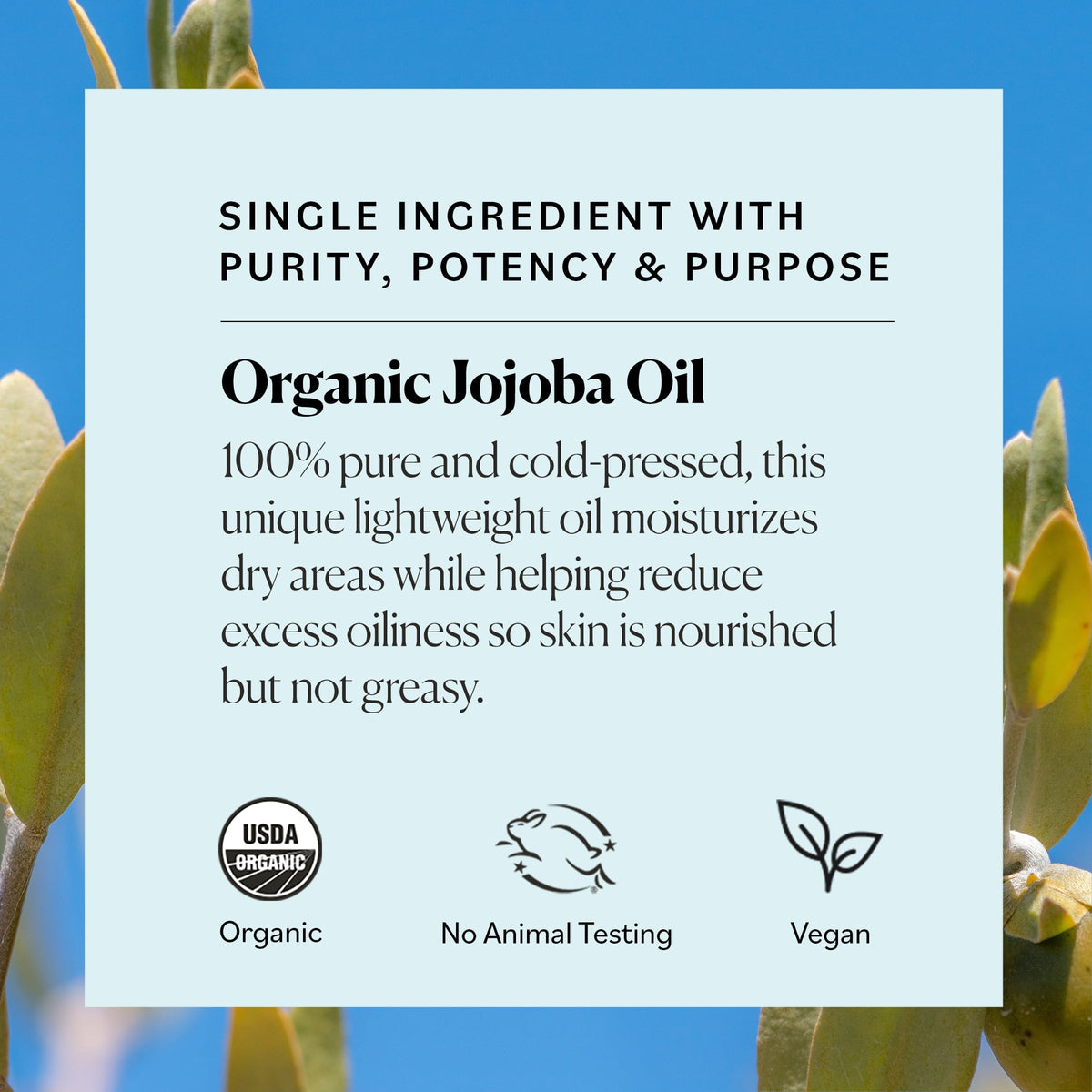 Sky Organics Organic Jojoba Oil for Face, Balancing Oil for Light Hydration & Helps Reduce Excess Oiliness, Suitable For Oily, Combination