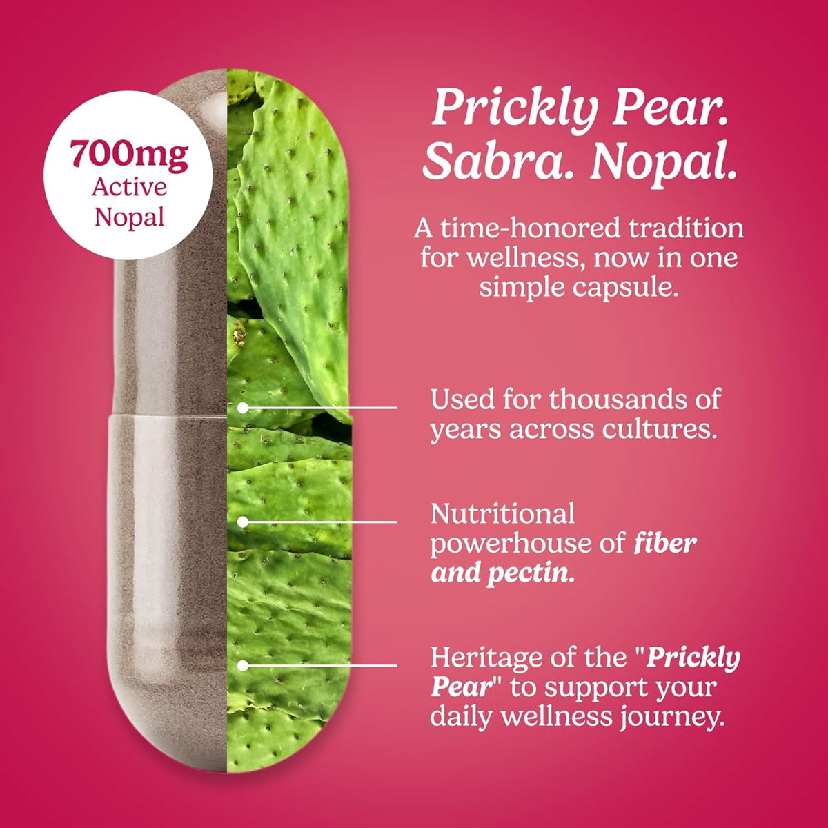 Santo Remedio Nopal, Prickly Pear Cactus Dietary Supplement, 700 mg, 60 Count, Immune Support