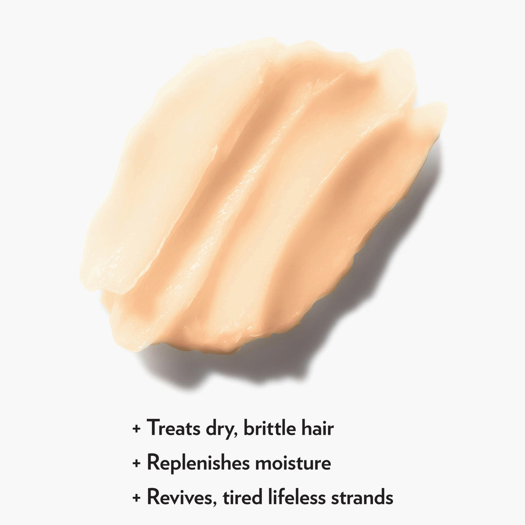 Hi-Pro-Pac Moroccan Mend Argan Oil Deep Repair Hair Mask, 1.75 fl oz