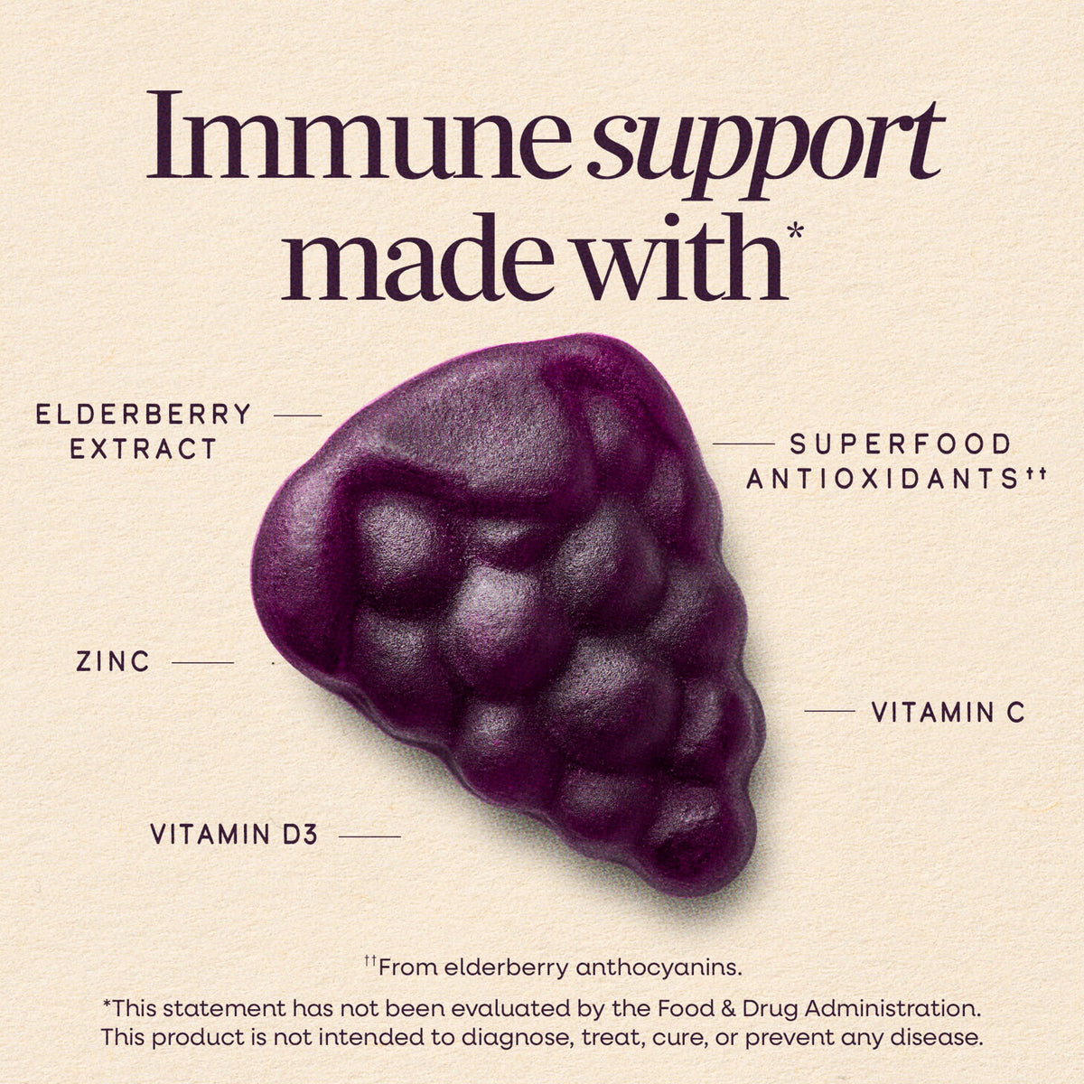 Nature's Way Sambucus Elderberry Immune Gummies, with Vitamins C, D3, & Zinc, Unisex, 60 Count