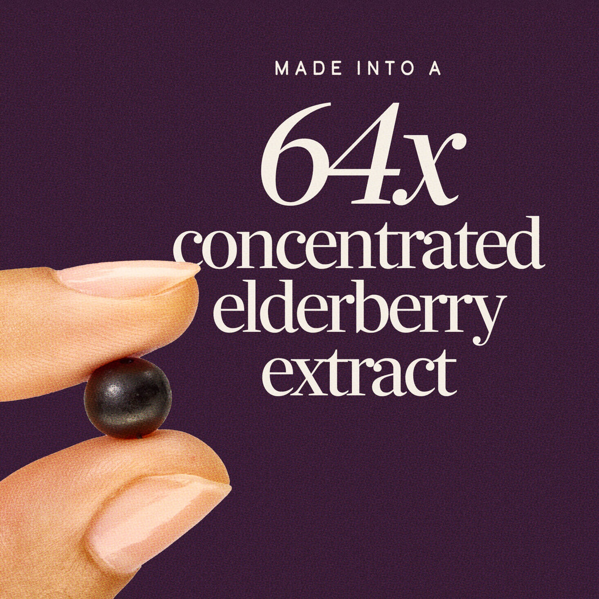 Nature's Way Sambucus Elderberry Immune Gummies, with Vitamins C, D3, & Zinc, Unisex, 60 Count