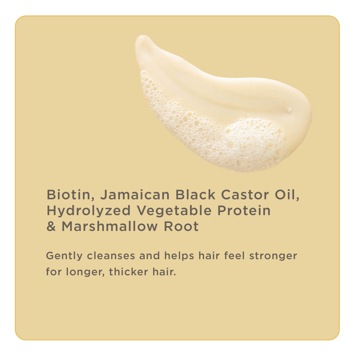 Hairitage Length Check Biotin Shampoo for Dry Damaged Hair, 13 fl oz.