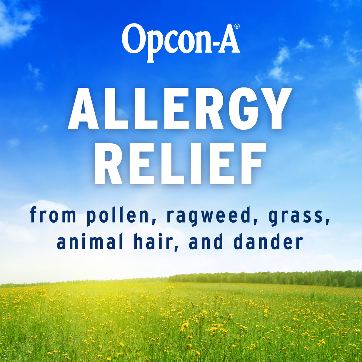 Opcon-A Eye Allergy Relief Drops for Itchy Red Eye Relief with Antihistamine & Redness Reliever, 0.5 fl oz, 2 Pack