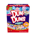 Dum Dums Limited Edition Flavor Mix Lollipops & Suckers, Party Candy Hard Candy, 16 oz Box