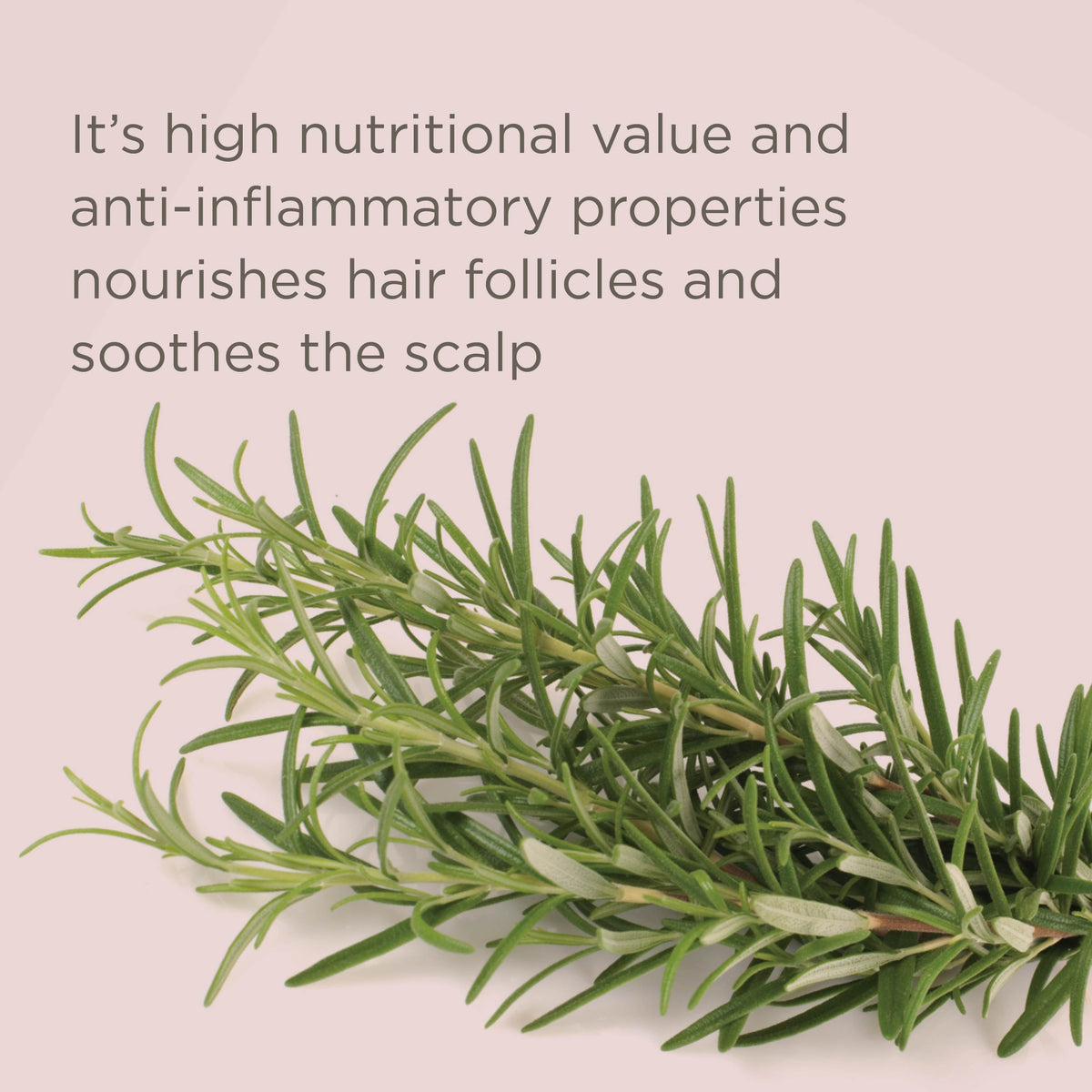 Hairitage Rice Water Scalp Cleansing Treatment Rinse, 8 oz