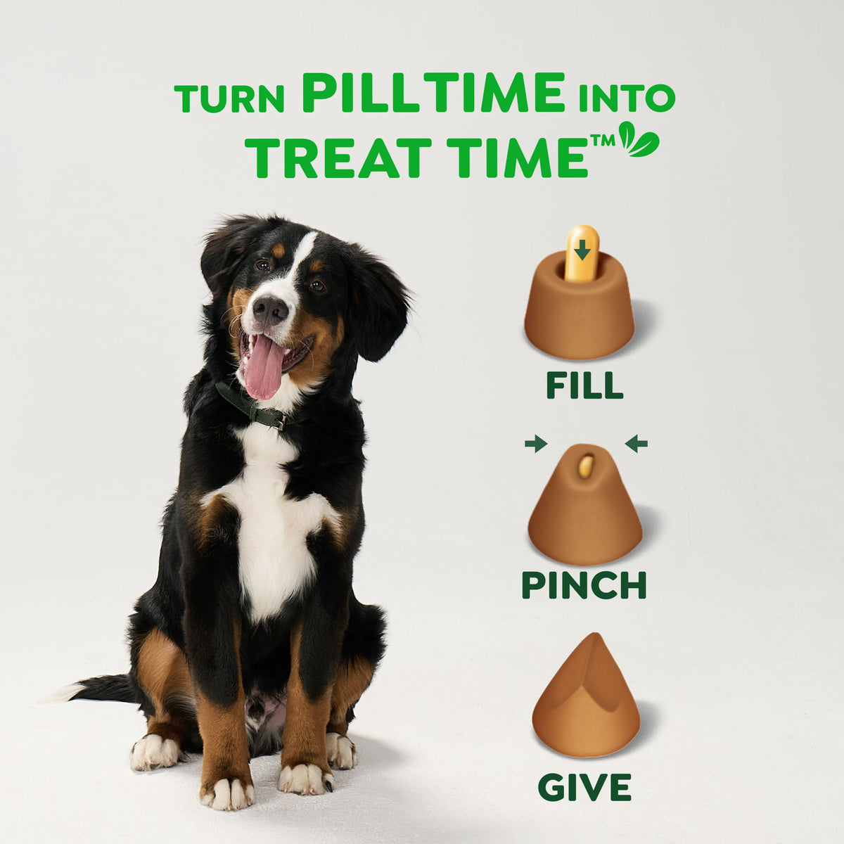 Greenies Pill Pockets for Dogs, Chicken Flavor, Large Size, Soft Dog Treats, 15.8 oz Pouch