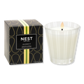 NEST Fragrances Grapefruit Scented Candle, 8.1 oz